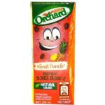 Ochard Orange Fruit Punch Drink 200ml